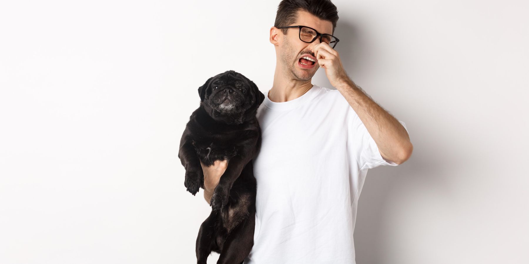 Why Your Dog's Breath Smells Bad and What to Do About It